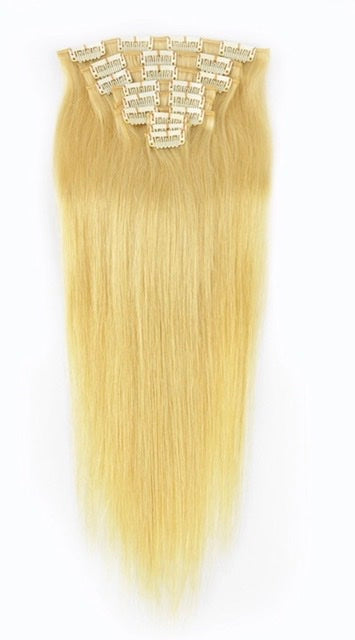 Straight Virgin Brazilian Clip-in Hair Extensions